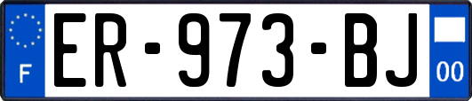 ER-973-BJ