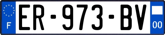 ER-973-BV