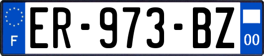 ER-973-BZ