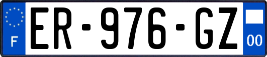 ER-976-GZ