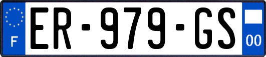 ER-979-GS
