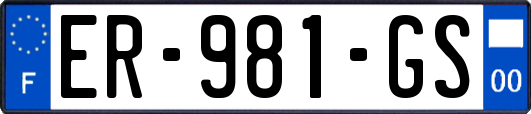 ER-981-GS