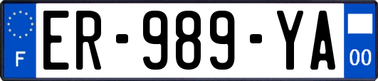 ER-989-YA