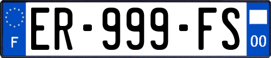 ER-999-FS