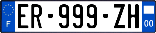 ER-999-ZH