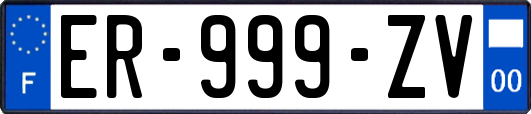 ER-999-ZV