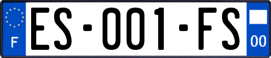 ES-001-FS