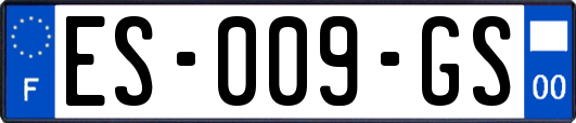 ES-009-GS