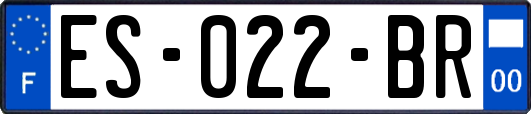ES-022-BR