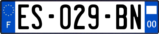 ES-029-BN