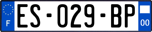 ES-029-BP