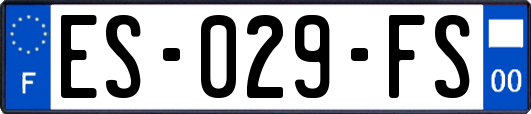 ES-029-FS