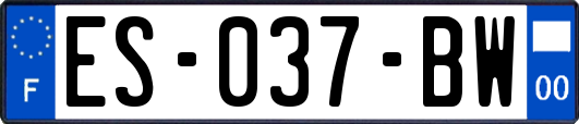 ES-037-BW