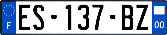 ES-137-BZ