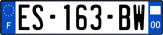 ES-163-BW
