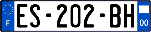 ES-202-BH