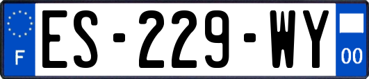 ES-229-WY
