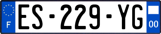ES-229-YG
