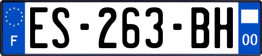 ES-263-BH