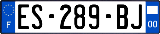 ES-289-BJ