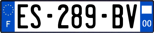 ES-289-BV