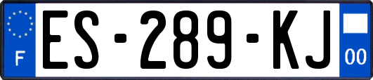 ES-289-KJ