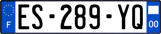ES-289-YQ