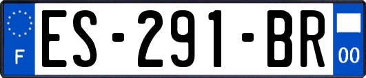 ES-291-BR