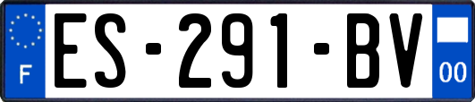 ES-291-BV
