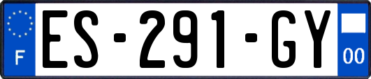 ES-291-GY