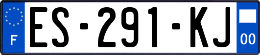 ES-291-KJ