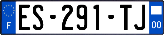 ES-291-TJ