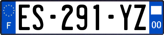 ES-291-YZ