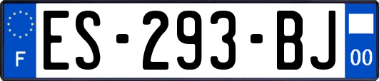 ES-293-BJ