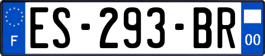 ES-293-BR