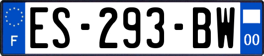 ES-293-BW