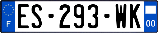 ES-293-WK