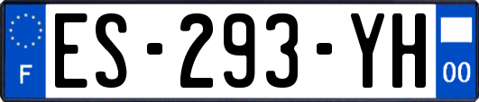 ES-293-YH