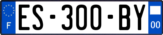 ES-300-BY