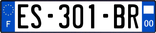 ES-301-BR