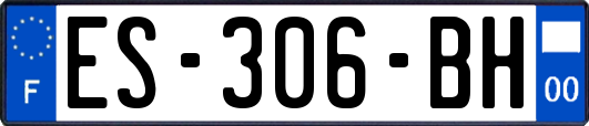 ES-306-BH