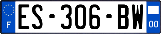 ES-306-BW