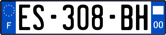 ES-308-BH