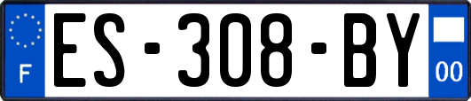 ES-308-BY