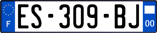 ES-309-BJ