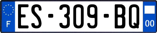 ES-309-BQ
