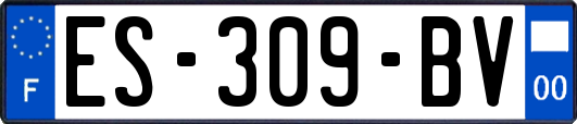 ES-309-BV
