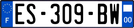 ES-309-BW