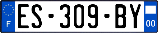 ES-309-BY