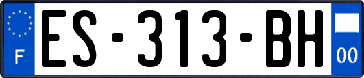 ES-313-BH